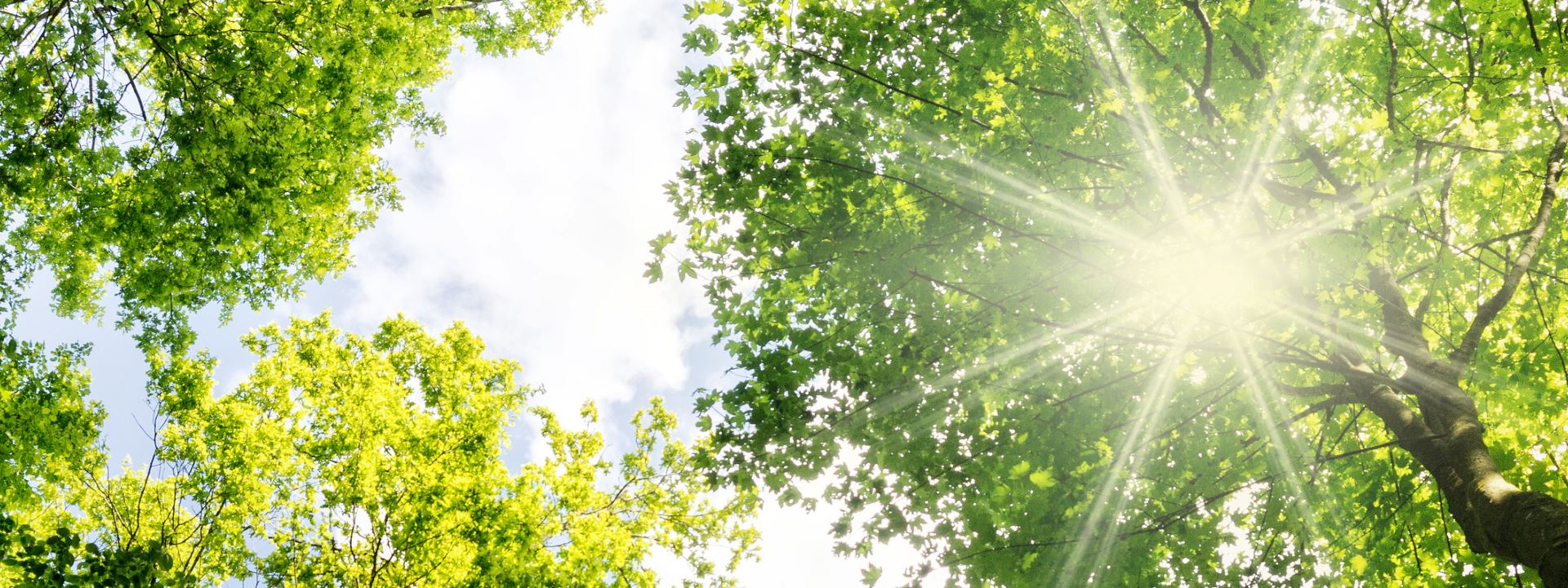 Revolutionary emission reduction