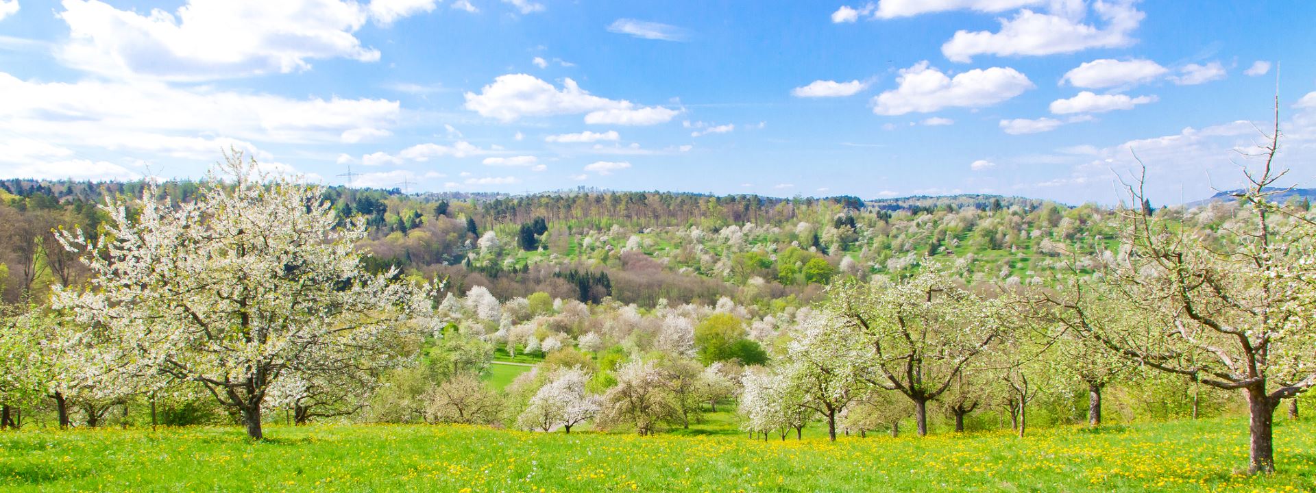 Revolutionary emission reduction